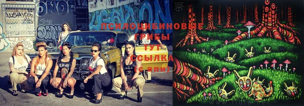 первитин Приозерск