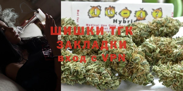 гашик Алзамай