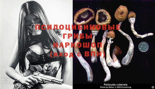 соль курить ск Алексеевка
