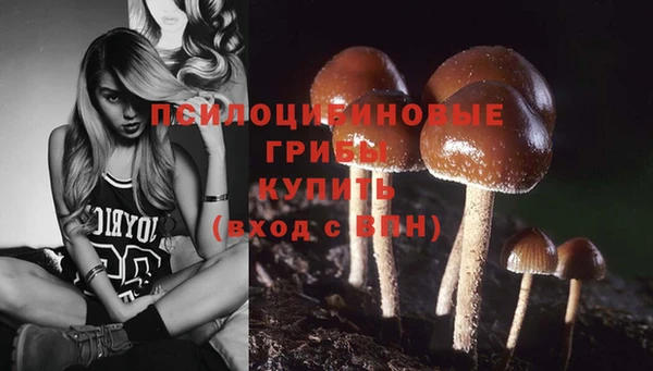 соль курить ск Алексеевка