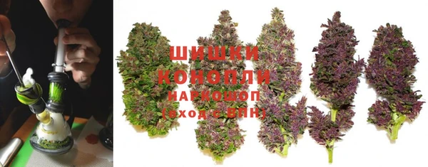 ГАЛЛЮЦИНОГЕННЫЕ ГРИБЫ Алексин