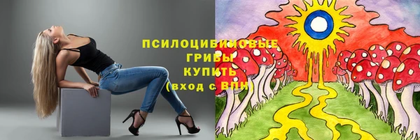 гашик Алзамай