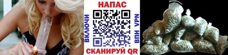 Марихуана индика  Покров 
